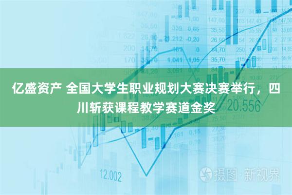 亿盛资产 全国大学生职业规划大赛决赛举行，四川斩获课程教学赛道金奖